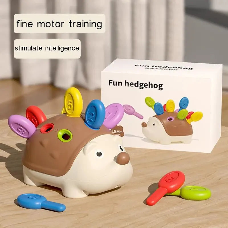Montessori hedgehog toy fine motor learning toy