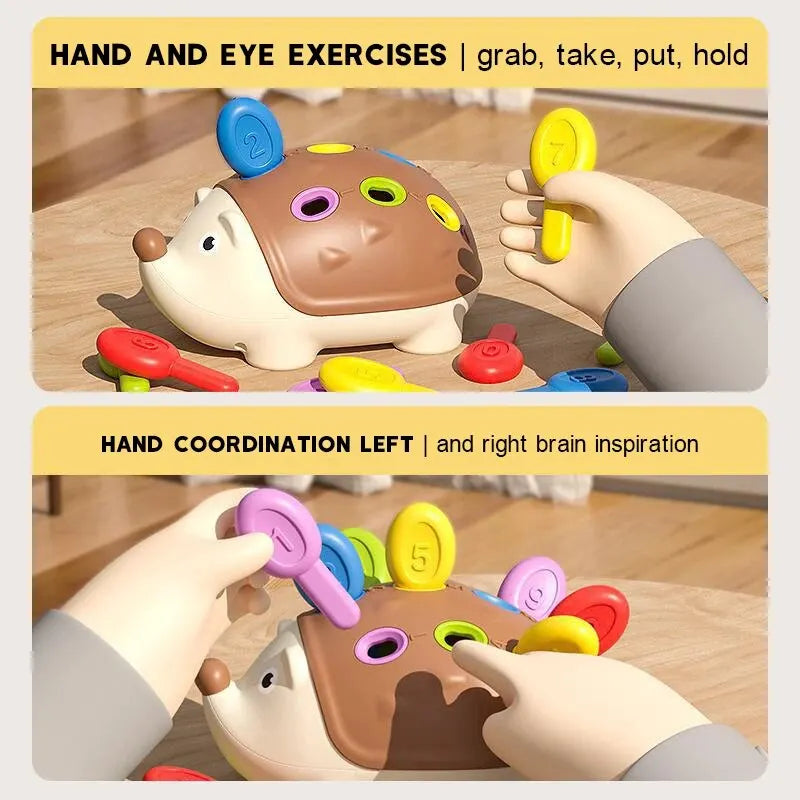 Montessori hedgehog toy fine motor learning toy
