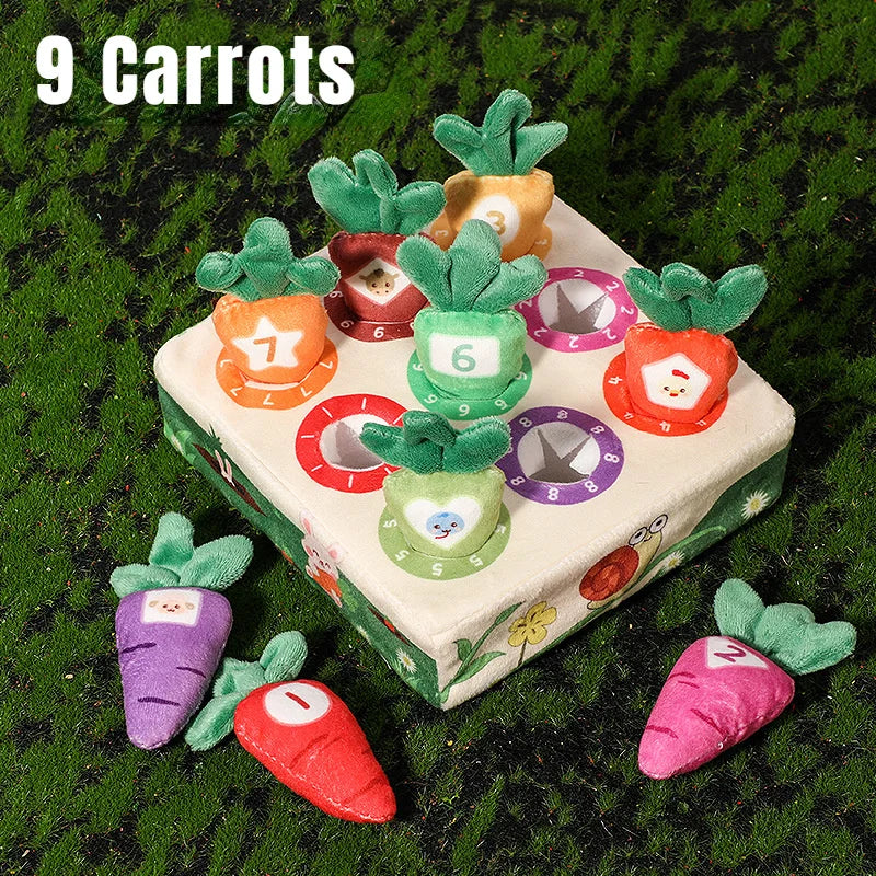 Montessori baby toy wooden sensory development toy