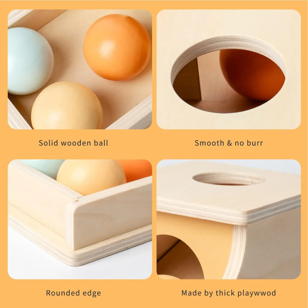 Montessori Coin Ball Drum-4