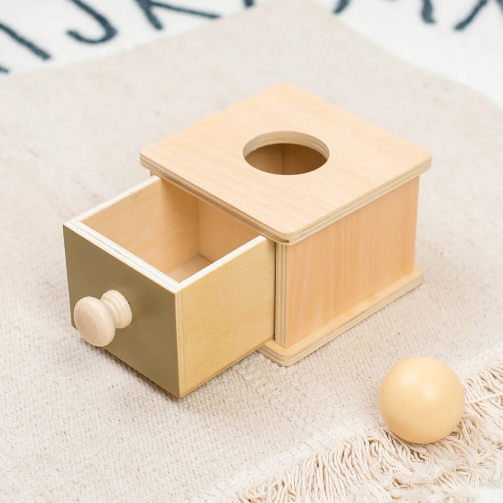 Montessori Coin Ball Drum-9